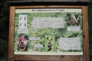 vorderkaserklamm-